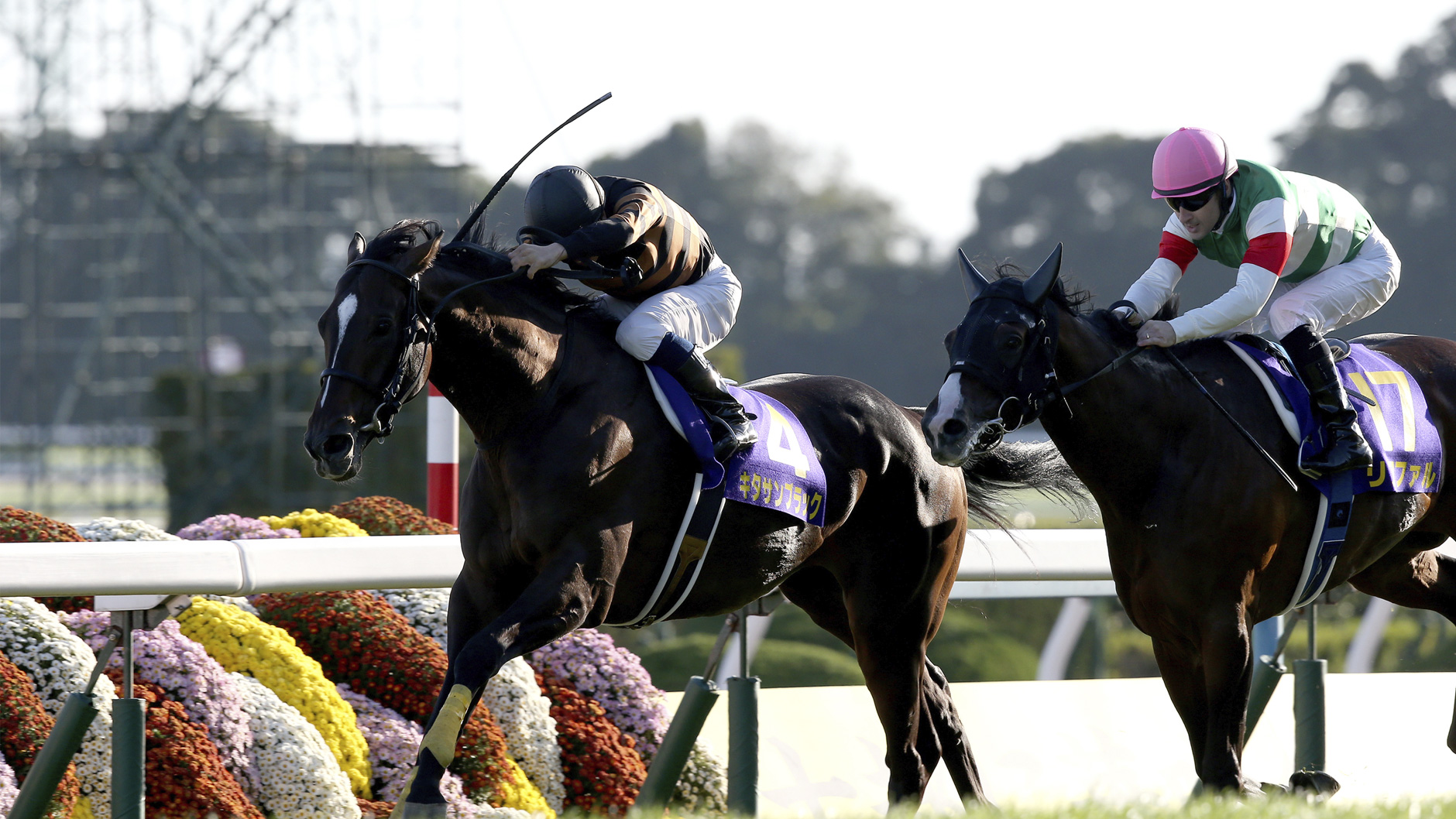 キタサンブラック：競馬の殿堂 JRA