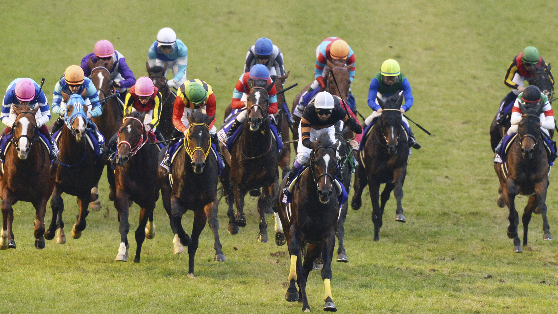 キタサンブラック：競馬の殿堂 JRA