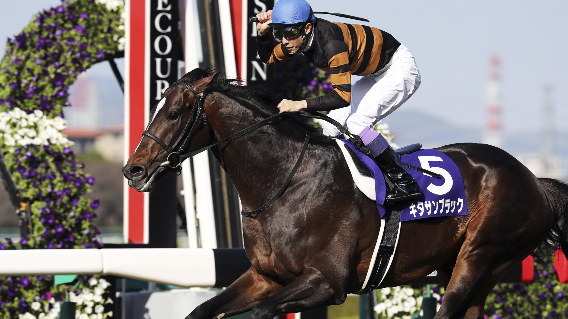 キタサンブラック：競馬の殿堂 JRA