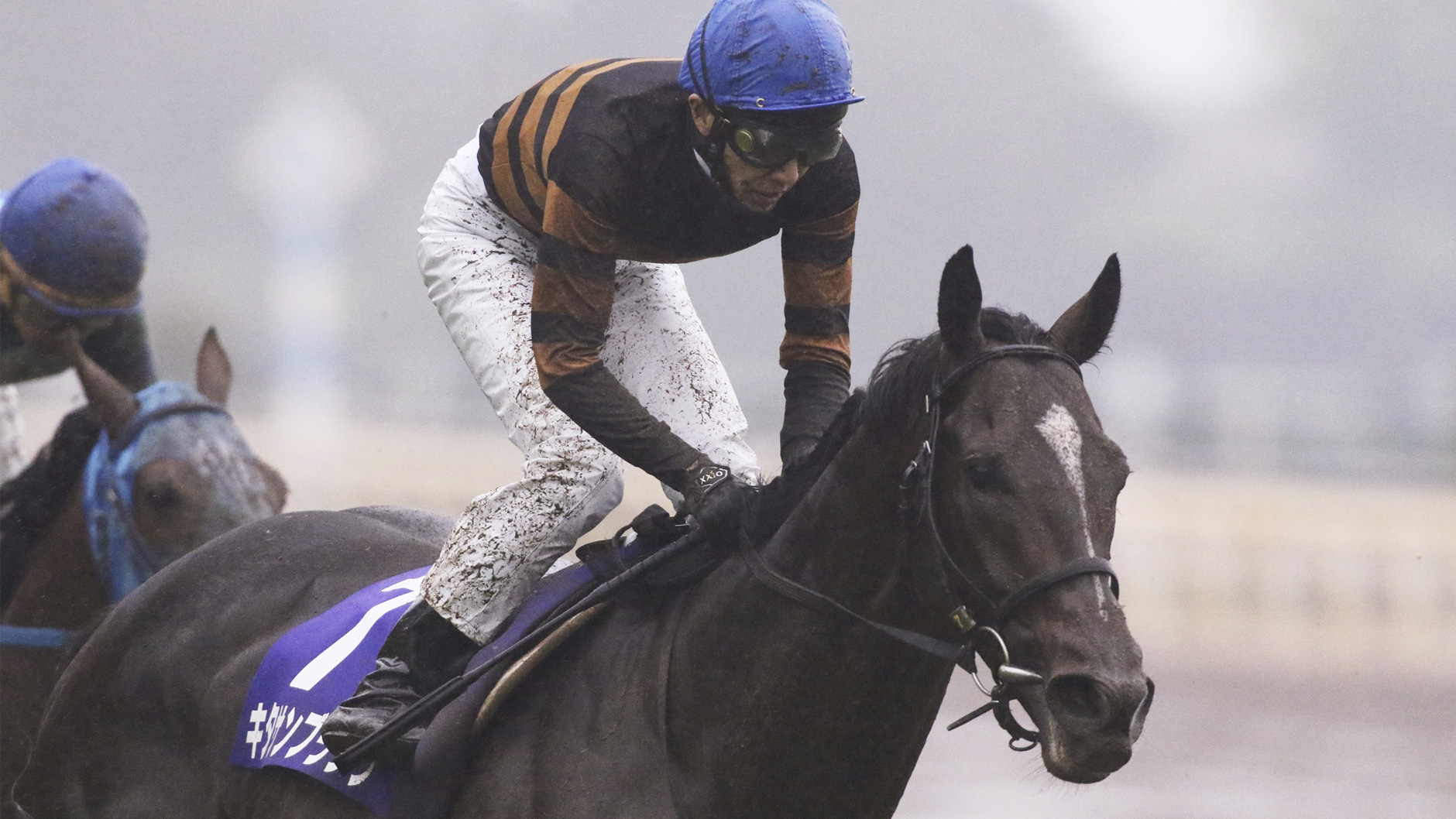 ホースレーシング2019 キタサンブラック ホースレーシング2019