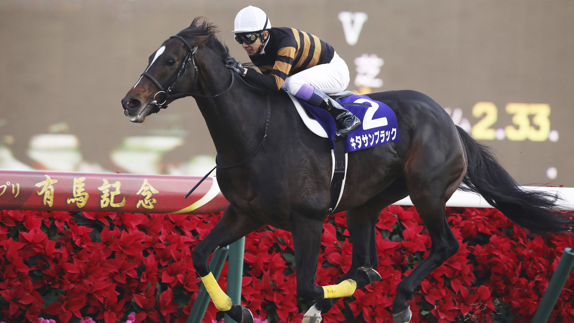 キタサンブラック：競馬の殿堂 JRA