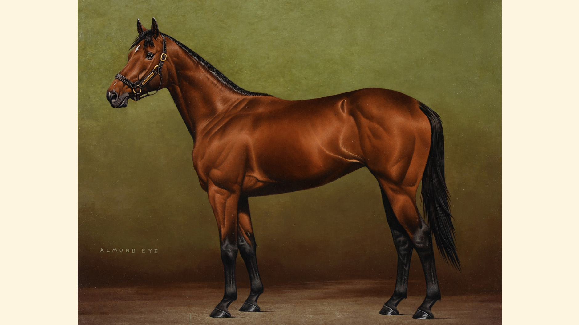 アーモンドアイ：競馬の殿堂 JRA