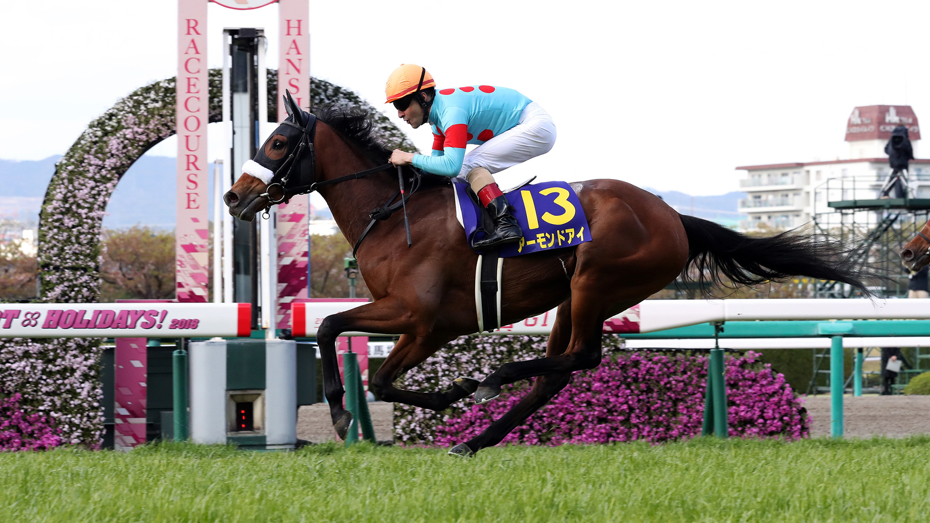 アーモンドアイ：競馬の殿堂 JRA