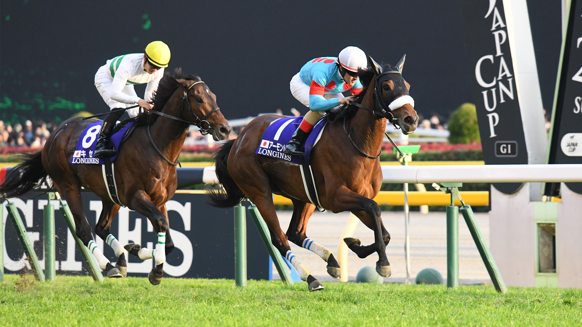 アーモンドアイ：競馬の殿堂 JRA