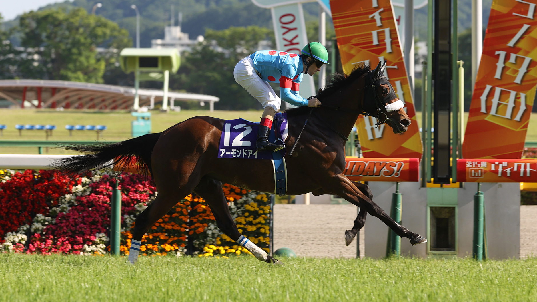 アーモンドアイ：競馬の殿堂 JRA
