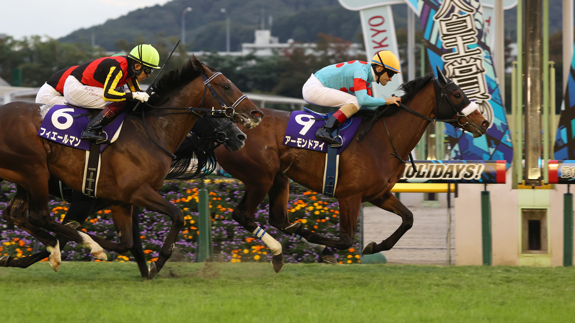アーモンドアイ：競馬の殿堂 JRA