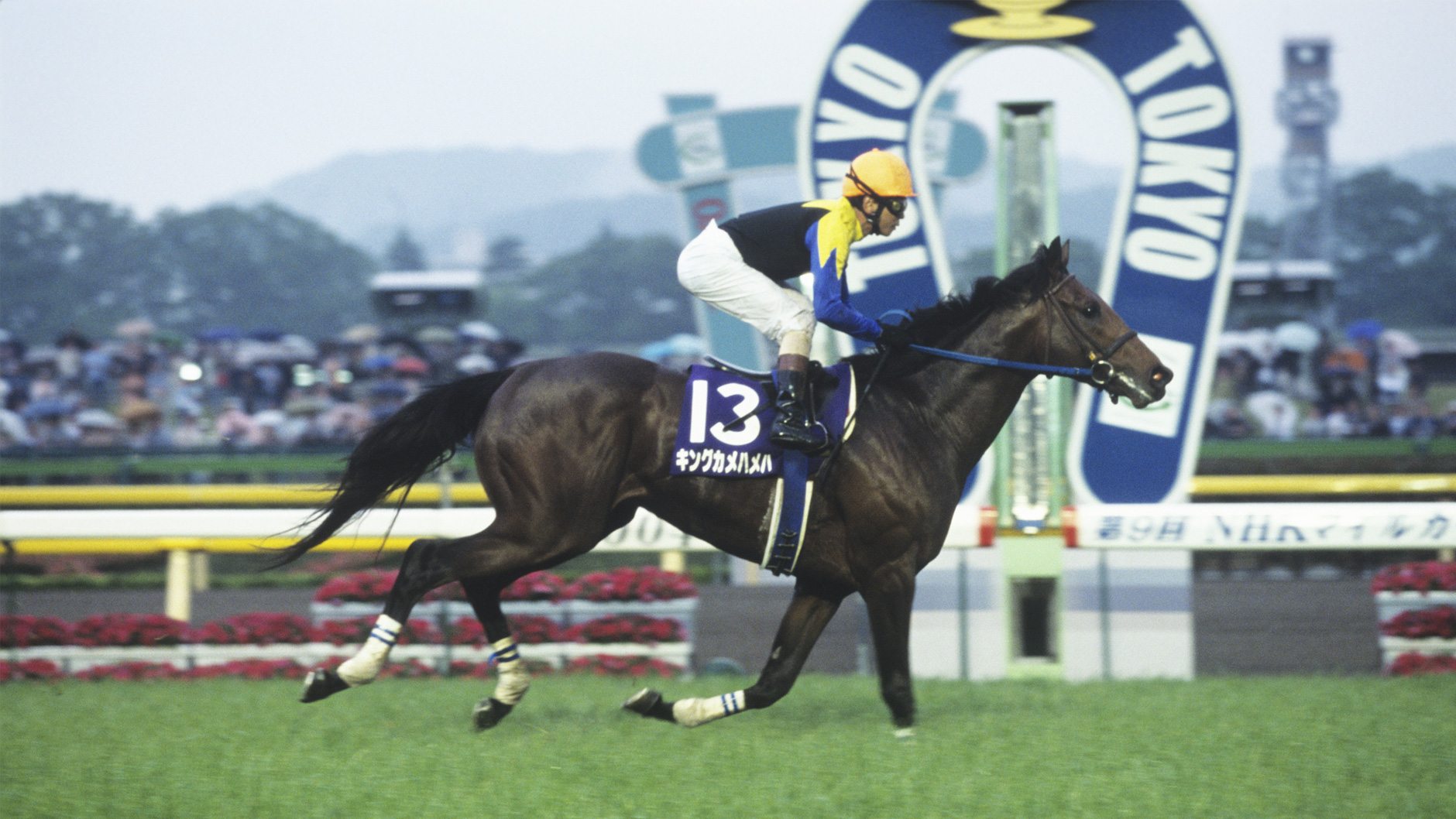 2004�N  NHK�}�C���J�b�v