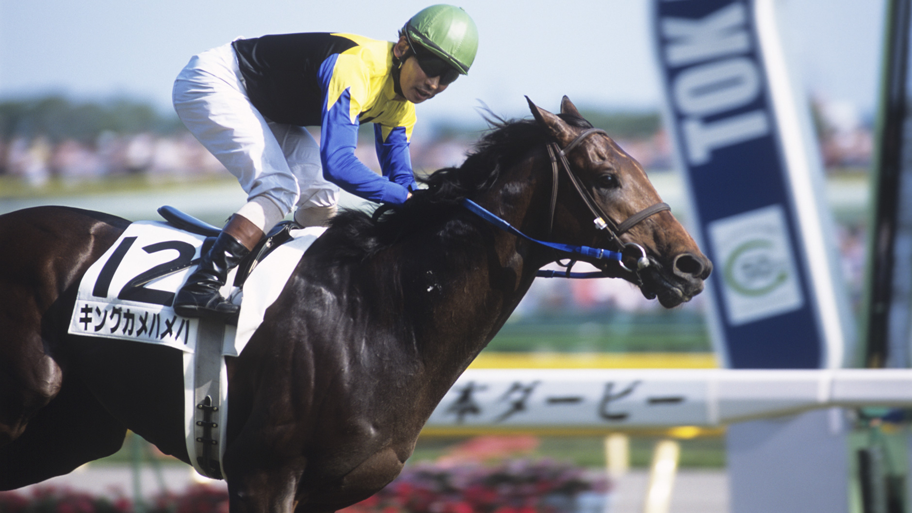 キングカメハメハ：競馬の殿堂 JRA