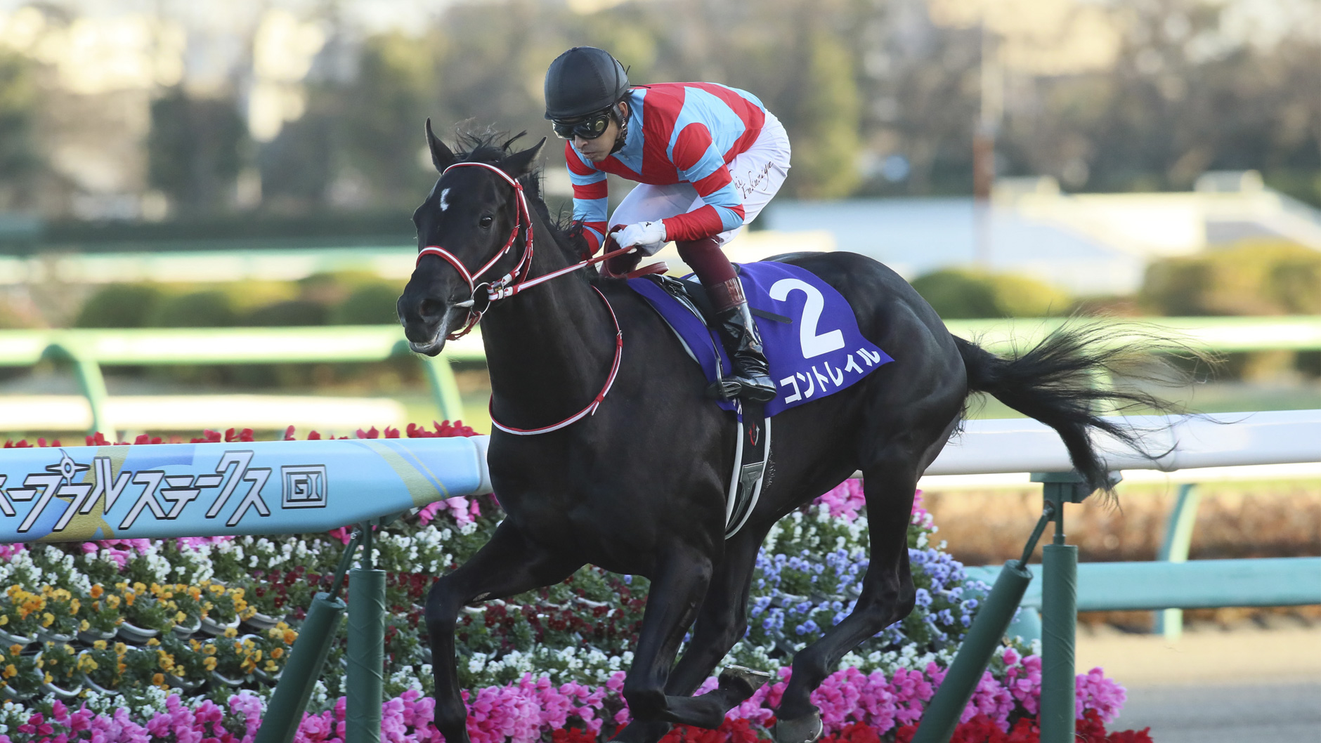 コントレイル：競馬の殿堂 JRA