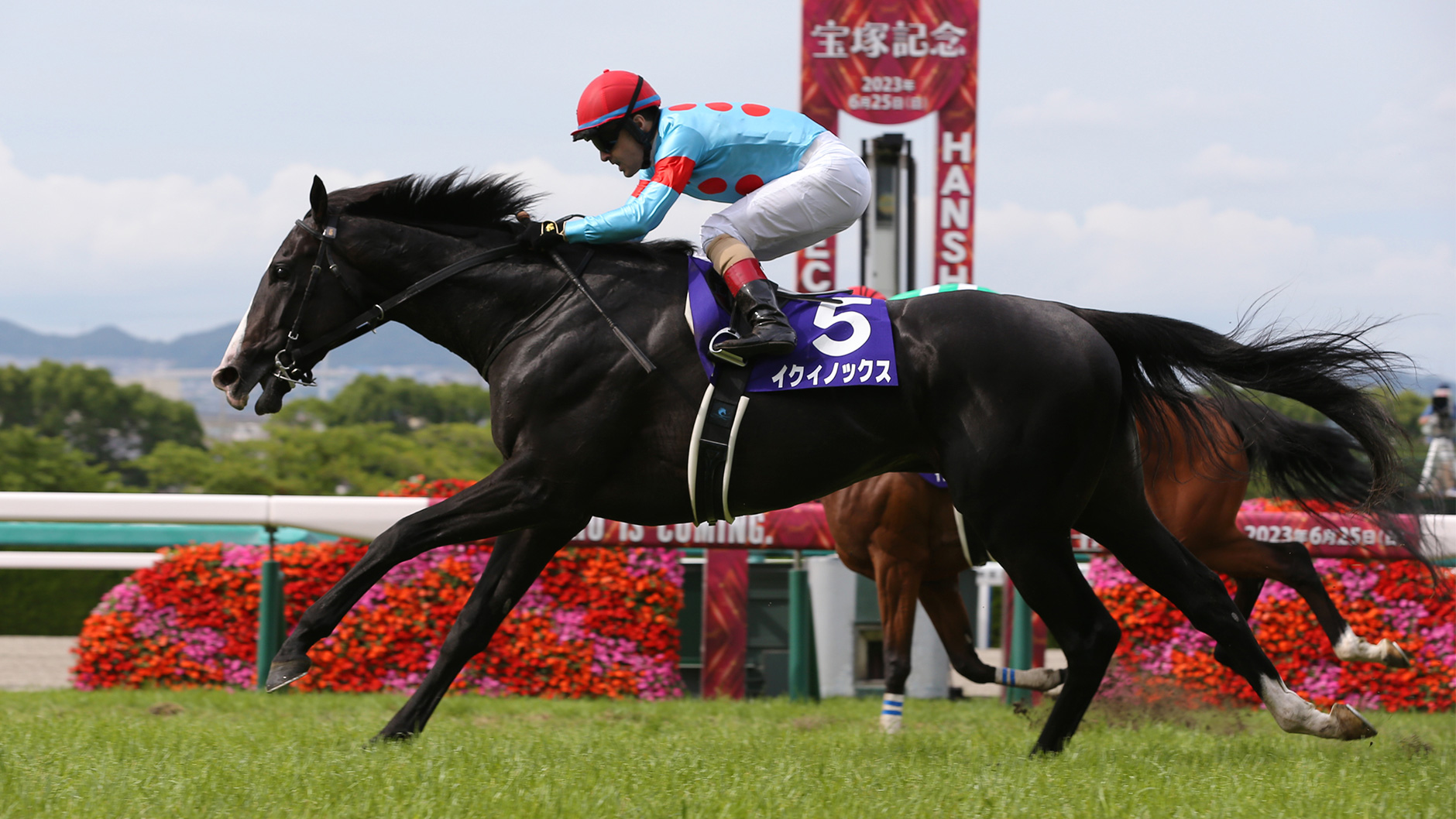 イクイノックス：競馬の殿堂 JRA