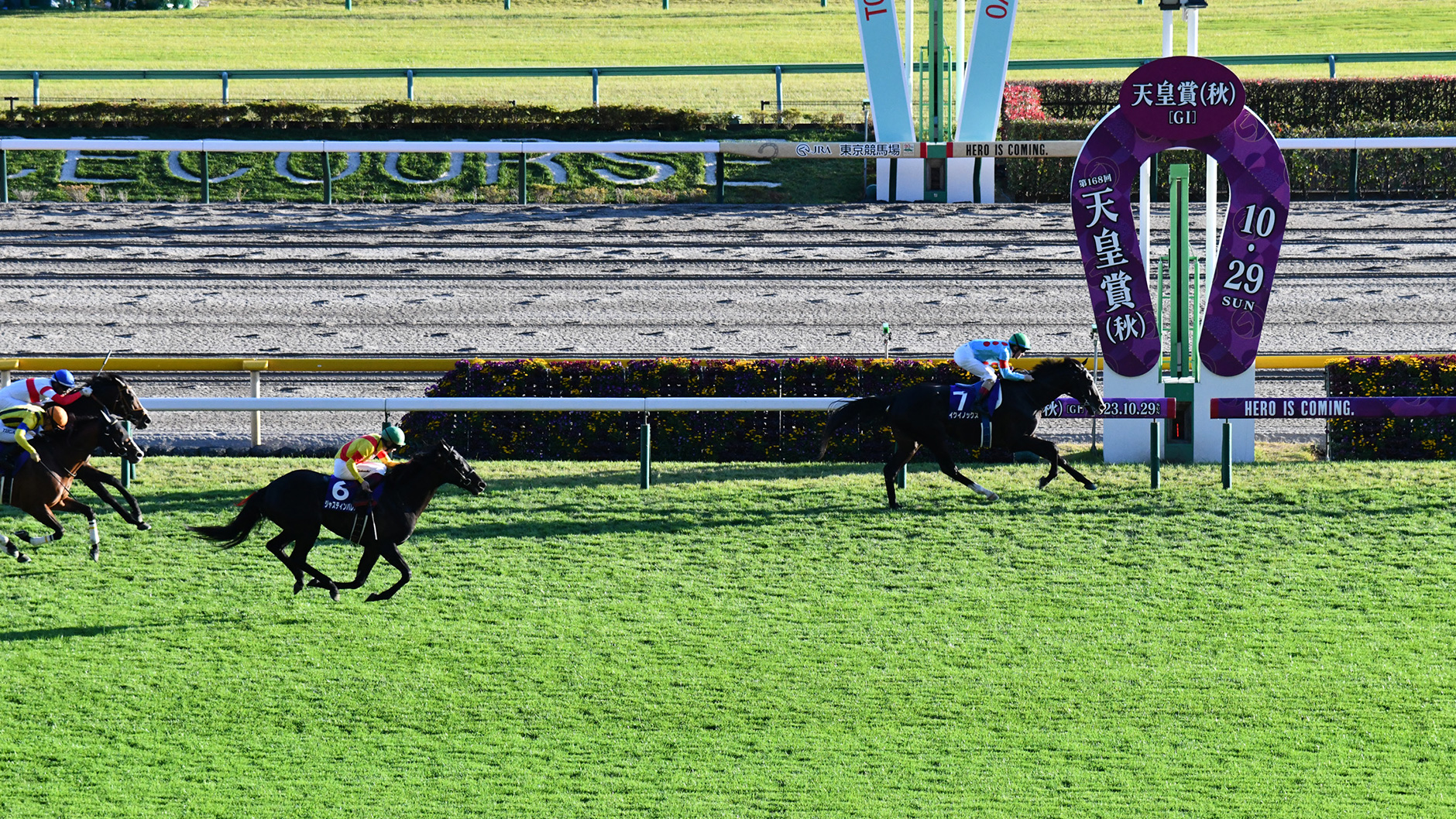 イクイノックス：競馬の殿堂 JRA