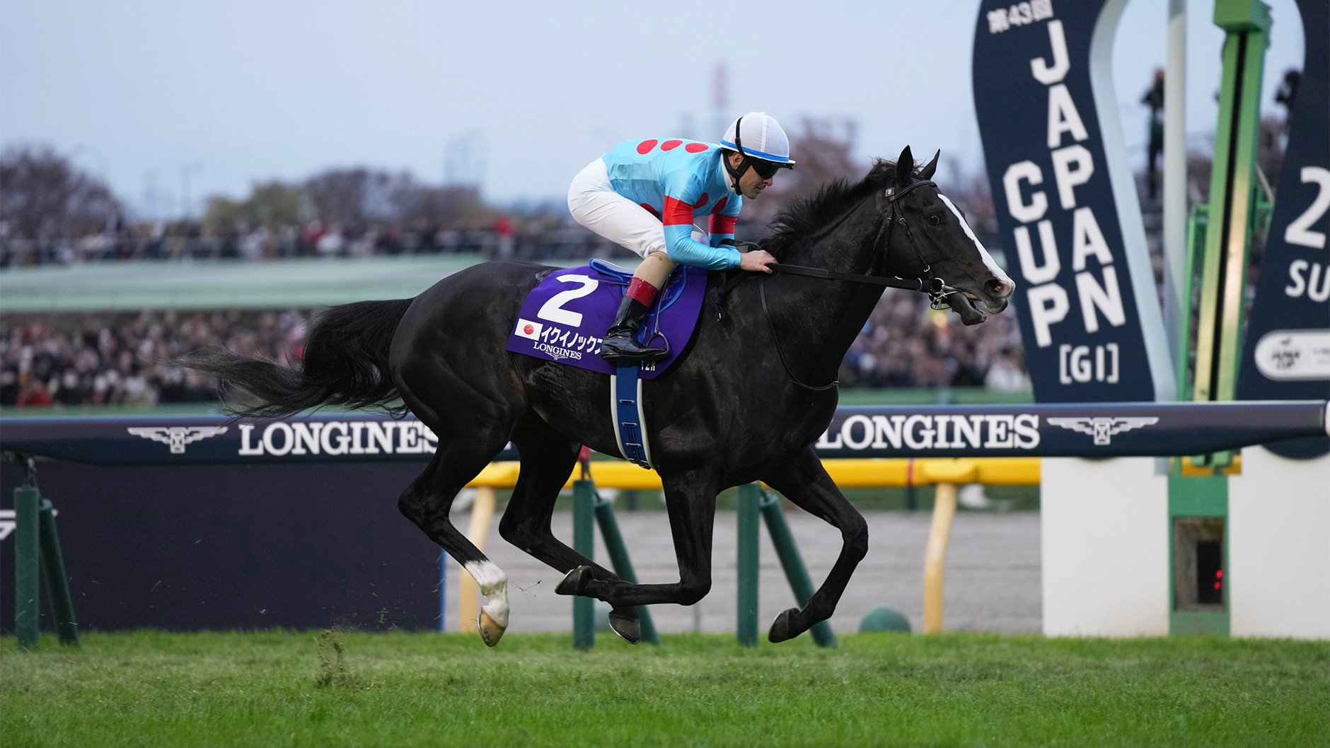 イクイノックス：競馬の殿堂 JRA