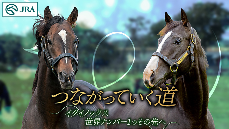ウェルカムチャンス　イクイノックス JRA　競馬 Welcomeチャンス JRAアニバーサリー A イクイノックス アイドル