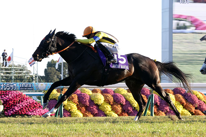 ジャンタルマンタル