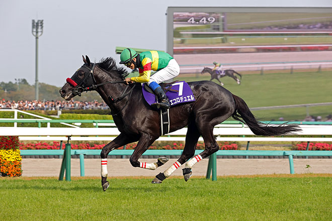 エコロデュエル