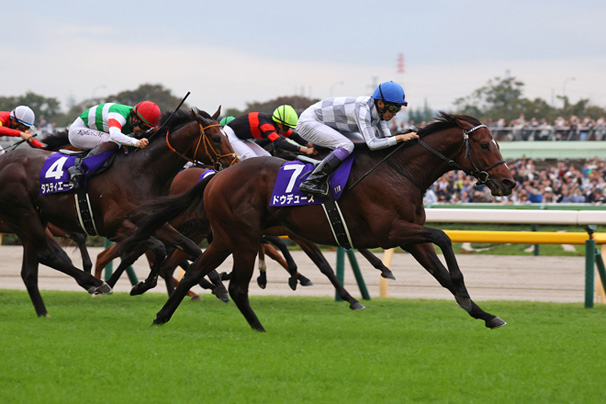 レース ホース Jra