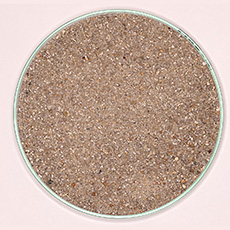 pic_sand_refill_fukushima.jpg