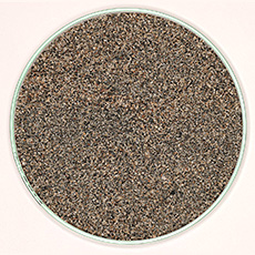 全国15競馬場のダート(砂)セット pic_sand_refill_miyazaki.jpg