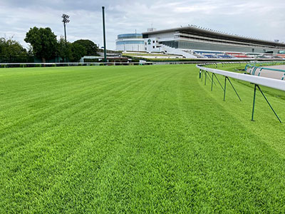 馬場情報（中山競馬場） JRA