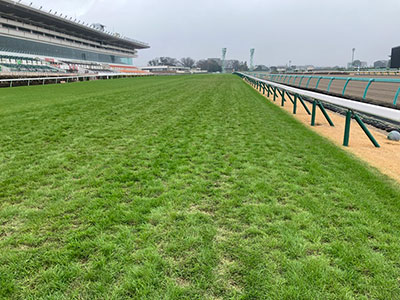 ���ʒ���