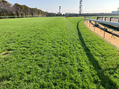 内回り3コーナー