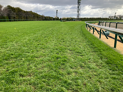 内回り3コーナー