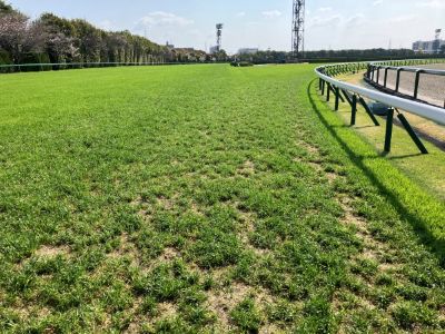 内回り3コーナー