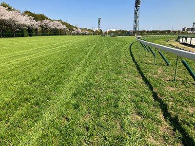 内回り3コーナー