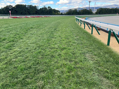 内回り3コーナー