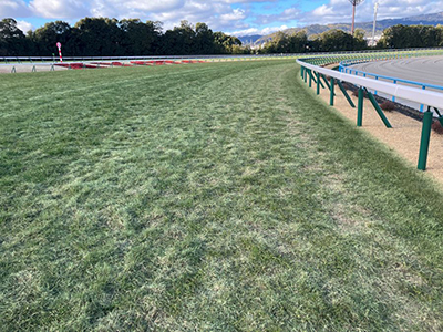 内回り3コーナー