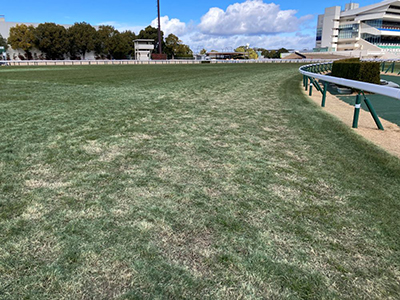 外回り4コーナー