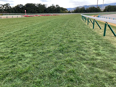 内回り3コーナー