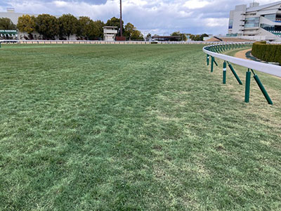 外回り4コーナー