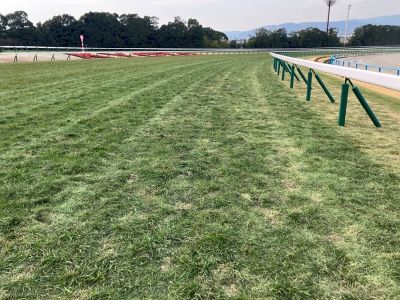 内回り3コーナー