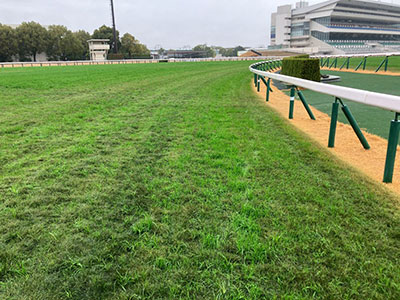 外回り4コーナー