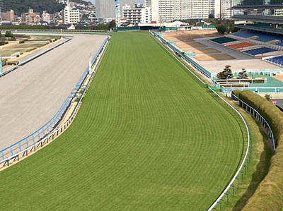 ���ʒ����i1�R�[�i�[�^���[���j