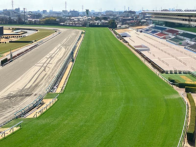 ���ʒ����i1�R�[�i�[�^���[���j