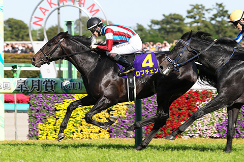 2026年日本ダービー（GⅠ） JRA