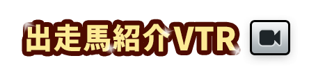 �o���n�Љ�VTR