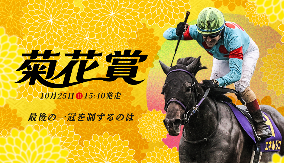 2026年菊花賞（GⅠ） JRA