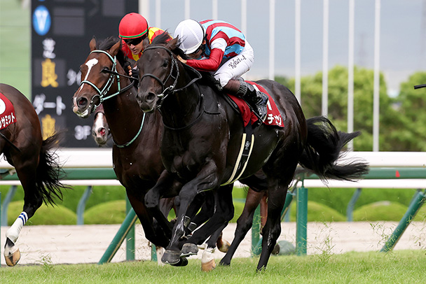 出走馬情報 2026年菊花賞（GⅠ） JRA