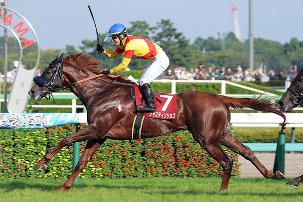 出走馬情報 2026年菊花賞（GⅠ） JRA