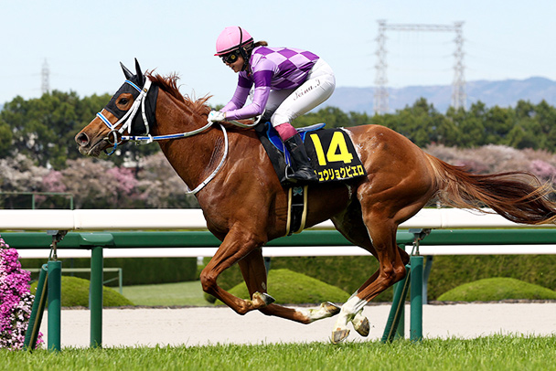 出走馬情報 2026年オークス（GⅠ） JRA