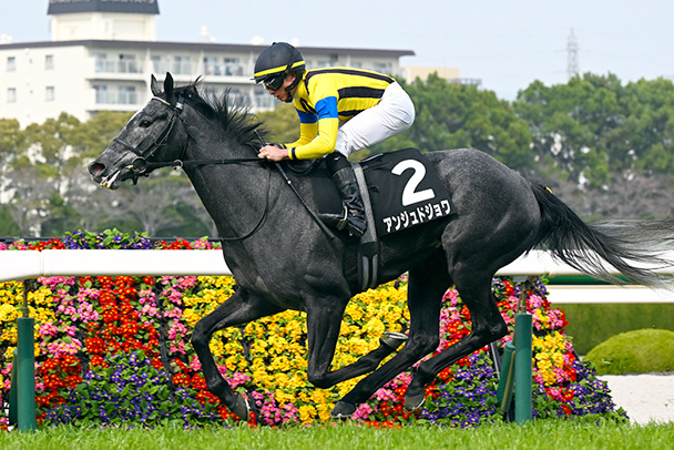 出走馬情報 2026年オークス（GⅠ） JRA