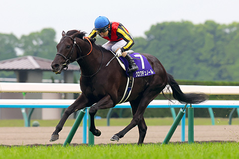 2026年宝塚記念（GⅠ） JRA