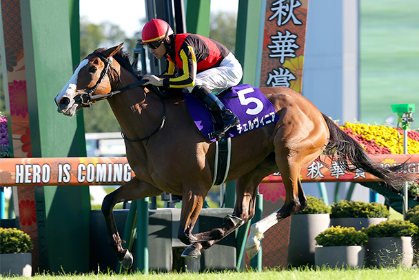 出走馬情報 2026年ヴィクトリアマイル（GⅠ） JRA