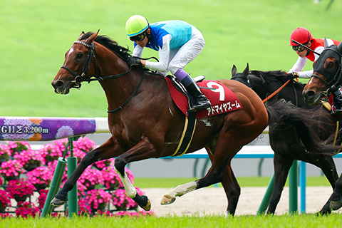 2026年安田記念（GⅠ） JRA