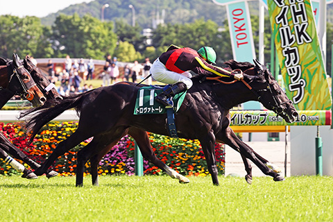 2026年安田記念（GⅠ） JRA