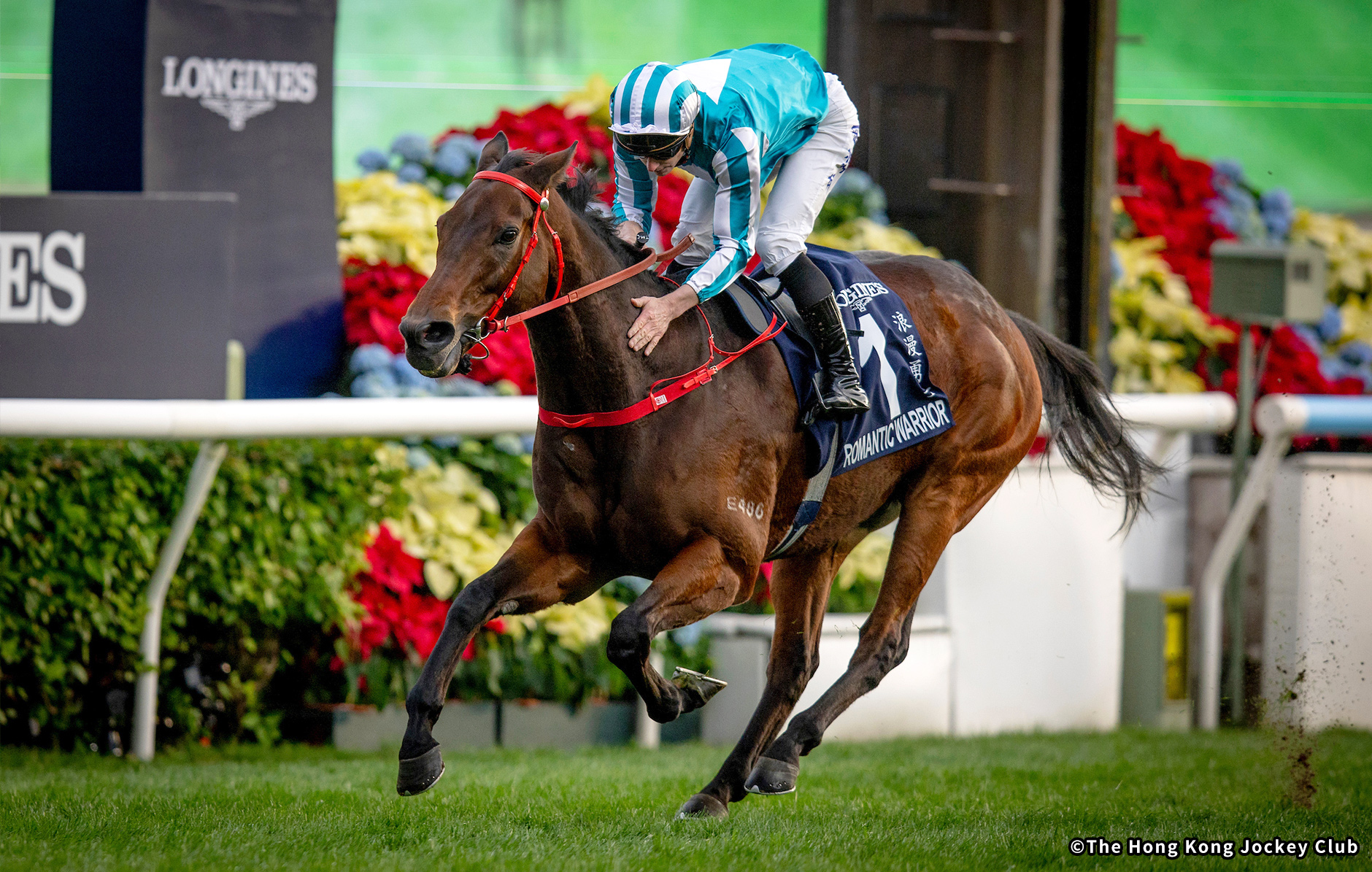 ジャパンカップ外国馬の現地購入馬券 ジャパンカップ外国馬の現地購入馬券