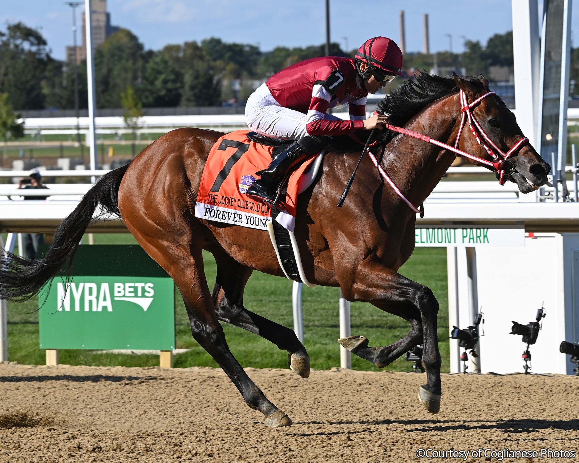 オグリローマン 桜花賞中山競馬場購入的中馬券 オークス現地購入バスレ馬券 セット 海外競馬発売 JRA